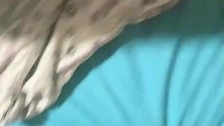半推半就压上去了