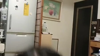 二零二三八月二十八号_白兔子1